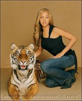 tigre